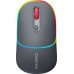 Canyon CANYON MW-22, 2 in 1 Wireless optical mouse with 4 buttons,Silent switch for right/left keys,DPI 800/1200/1600, 2 mode(BT/ 2.4GHz), 650mAh Li-poly battery,RGB backlight,Dark grey, cable length 0.8m, 110*62*34.2mm, 0.085kg