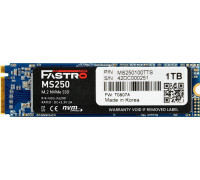 SSD 1TB SSD MegaFastro MS250 1TB M.2 2280 PCI-E x4 Gen3 NVMe (MS250100TTS)