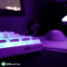 KBcustom KB61 - KBcustom - Hot Swap - Pudding Keycaps - Red Switch