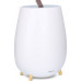 Duux Duux | Humidifier Gen2 | Tag | Ultrasonic | 12 W | Water tank capacity 2.5 L | Suitable for rooms up to 30 m² | Ultrasonic | Humidification capacity 250 ml/hr | White