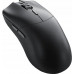 TRITON Glorious Model O 2 PRO Wireless, 1K Polling - black