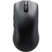 TRITON Glorious Model O 2 PRO Wireless, 1K Polling - black