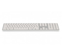 LMP WKB-1243 (22704)