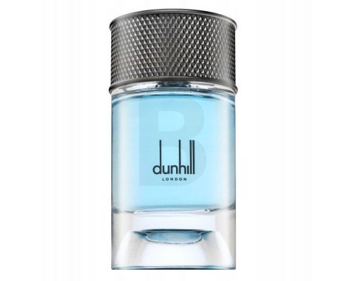 Dunhill Dunhill Signature Collection Nordic Fougere EDP M 100 ml