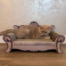 Purlov cat - sofa Purlov 24285
