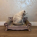 Purlov cat - sofa Purlov 24285