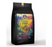 West Caffee Nicaragua Aromat Północy Ziemia Lwa