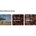 Coffee beans Parallel 12, 1 kg