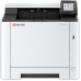 Kyocera ECOSYS PA2101cwx/Plus (870B6110C243NL1)