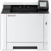 Kyocera ECOSYS PA2101cwx/Plus (870B6110C243NL1)