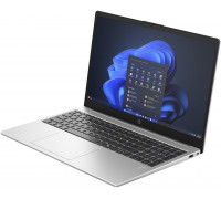 HP 250 G10 I5-1334U 15.6FHD