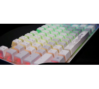 CHERRY MX 8.2 Wireless Keyboard TKL WL (without suitcase)