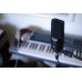 sE Electronics X1 A Black studyjny