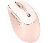 RoGer Q7 Wireless Rechargeable Mouse DPI 1600 /  Type-C