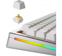 Glorious Panda Standard Switches, mechanisch, 5-Pin, taktil, MX-Stem, 50g - lubed, 36 Stück