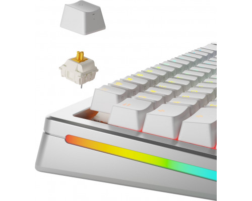 Glorious Panda Standard Switches, mechanisch, 5-Pin, taktil, MX-Stem, 50g - lubed, 36 Stück