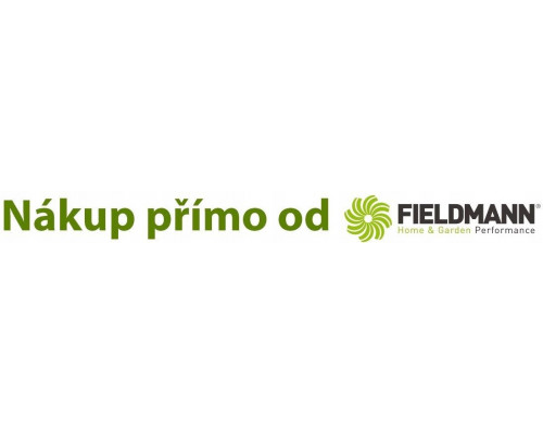 Akumuliatorinis gręžtuvas-suktuvas Fieldmann FDV 10202-A, Li-Ion 12V/1300 mAh