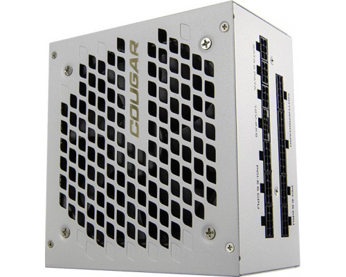 Gigabyte GEX X2 850W ATX 3.1 Snow 850W