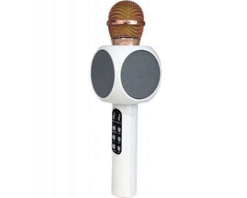 WS-1816 16W karaoke BT microphone with LED 360 White