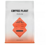 Coffee Plant kawa ziarnista Etiopia Taferi Kela Washed filtr 250 g