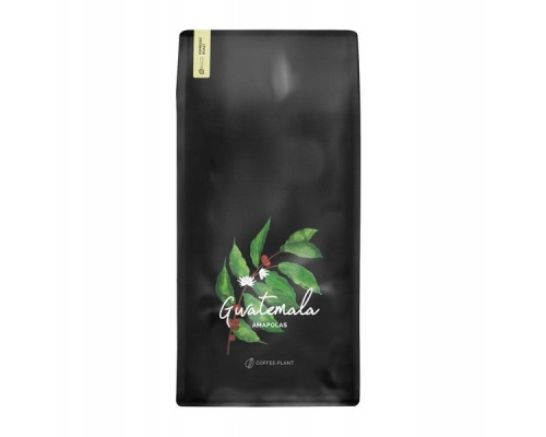 Coffee Plant COFFEE PLANT Gwatemala Makówki 1kg