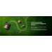 Worx Landroid Vision Cloud 2000 WR342E