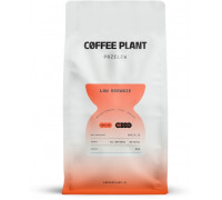 Coffee Plant COFFEE PLANT LOW Brownie 250g
