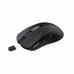 AQIRYS AQIRYS Myszka Dual Mode: Wirelles&BT+Wired M2 black