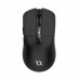 AQIRYS AQIRYS Myszka Dual Mode: Wirelles&BT+Wired M2 black