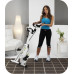 BH Fitness Open & Go YF90 magnetic