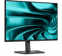 Dell Pro P2426HE (210-BVJT)