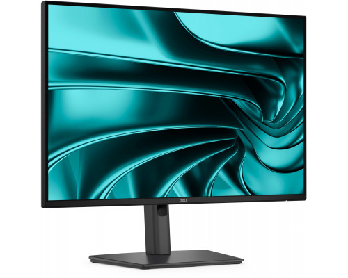 Dell Pro P2426HE (210-BVJT)