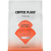 Coffee Plant COFFEE PLANT - kawa ziarnista Indonezja Bali Honey Filter 250 g