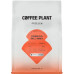Coffee Plant COFFEE PLANT - kawa ziarnista Indonezja Bali Honey Filter 250 g
