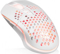 Logic Concept One Light 200  (M-LC-LM-STARR-ONE-LIGHT-200)
