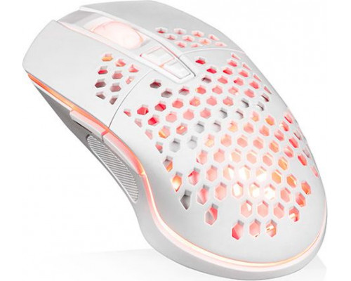 Logic Concept One Light 200  (M-LC-LM-STARR-ONE-LIGHT-200)