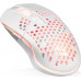 Logic Concept One Light 200  (M-LC-LM-STARR-ONE-LIGHT-200)