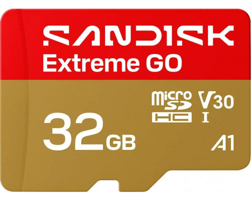 SD  SanDisk Extreme GO MicroSDHC 32 GB Class 10 UHS-I/U3 A1 V30 (SDSQXGN-032G-GN6MN)