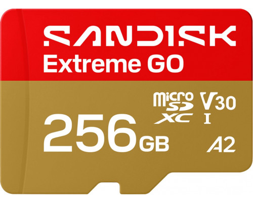 SD  SanDisk Extreme GO MicroSDXC 256 GB Class 10 UHS-I/U3 A2 V30 (SDSQXGN-256G-GN6MN)