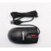 Lenovo USB Calliope Mouse BK (5M51U06654)