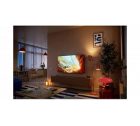 Philips 165,1 cm (65") 4K Ultra HD Smart TV Wi-Fi Black (65PQS7801/12)