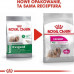 Royal Canin Royal Canin Mini Exigent karma dry for dogs adults, races small ones, picky 1kg