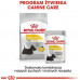 Royal Canin Royal Canin Mini Dermacomfort karma dry for dogs adults, races small ones o wrażliwej skórze skłonnej do podrażnień 1kg