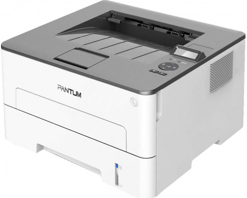 Pantum P3010DW