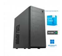 Business i3-13100 8GB 256GB NVME SSD Windows 11 Professional