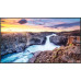 Samsung QH55B (LH55QHBEBGCXEN)