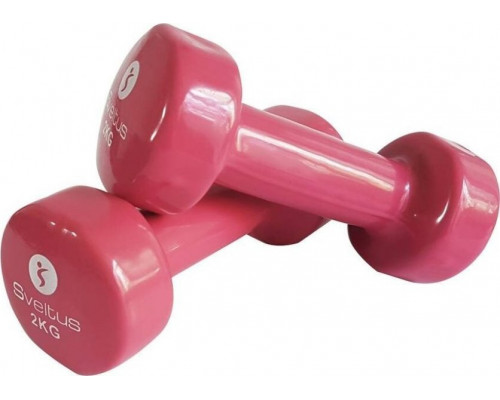 SKO Dumbbells 1182 vinyl 2 x 2 kg