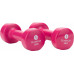 SKO Dumbbells 1182 vinyl 2 x 2 kg