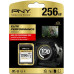 SD  PNY Elite Performance SDXC 256 GB Class 10 UHS-I/U3  (SD256ELIPER-EF)