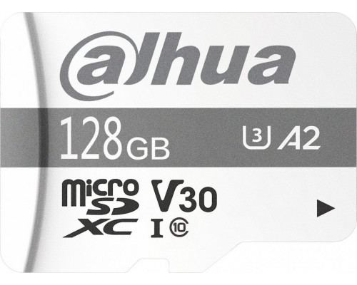 SD  Dahua Technology TF-P100 MicroSDXC 128 GB Class 10 UHS-I U3 A1 V30 (TF-P100-128G)